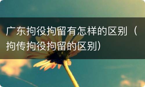 广东拘役拘留有怎样的区别（拘传拘役拘留的区别）