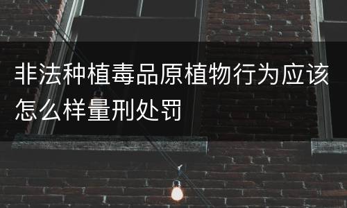 非法种植毒品原植物行为应该怎么样量刑处罚