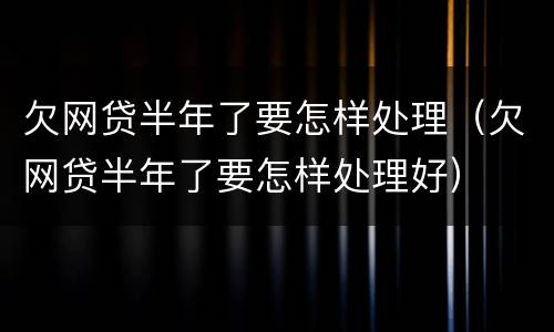 欠网贷半年了要怎样处理（欠网贷半年了要怎样处理好）