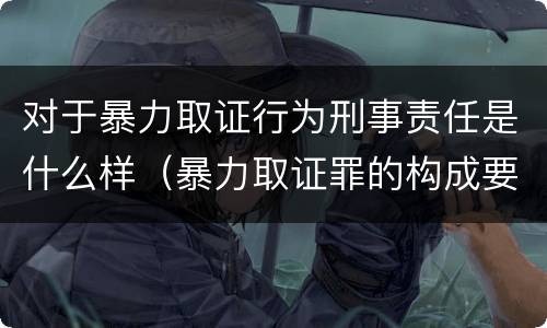 对于暴力取证行为刑事责任是什么样（暴力取证罪的构成要件）