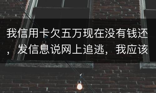 我信用卡欠五万现在没有钱还，发信息说网上追逃，我应该怎么办