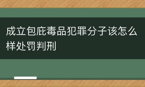 成立包庇毒品犯罪分子该怎么样处罚判刑