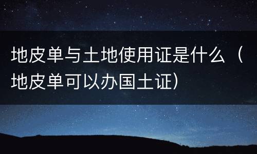 地皮单与土地使用证是什么（地皮单可以办国土证）