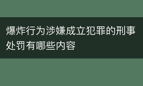 爆炸行为涉嫌成立犯罪的刑事处罚有哪些内容