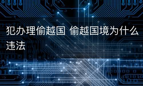 犯办理偷越国 偷越国境为什么违法