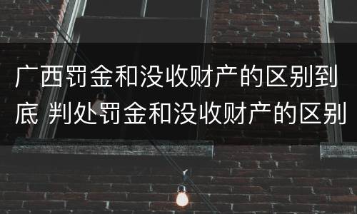 广西罚金和没收财产的区别到底 判处罚金和没收财产的区别