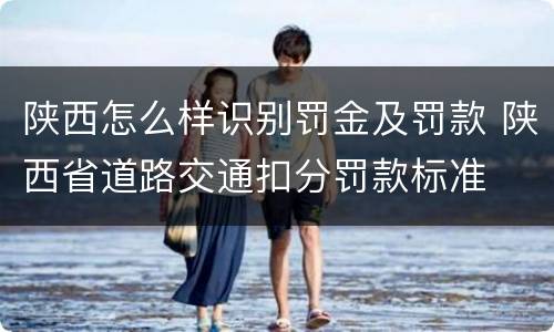 陕西怎么样识别罚金及罚款 陕西省道路交通扣分罚款标准
