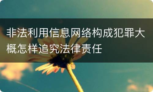 非法利用信息网络构成犯罪大概怎样追究法律责任