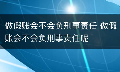 做假账会不会负刑事责任 做假账会不会负刑事责任呢
