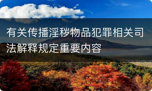 有关传播淫秽物品犯罪相关司法解释规定重要内容
