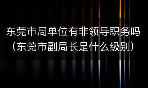 东莞市局单位有非领导职务吗（东莞市副局长是什么级别）