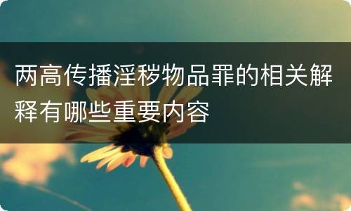 两高传播淫秽物品罪的相关解释有哪些重要内容