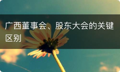 广西董事会、股东大会的关键区别