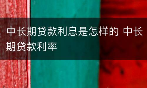 中长期贷款利息是怎样的 中长期贷款利率