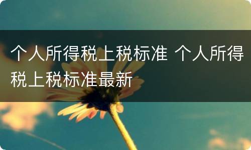 个人所得税上税标准 个人所得税上税标准最新