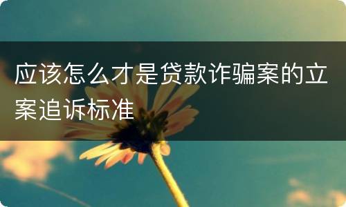 应该怎么才是贷款诈骗案的立案追诉标准