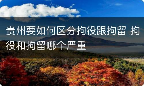 贵州要如何区分拘役跟拘留 拘役和拘留哪个严重