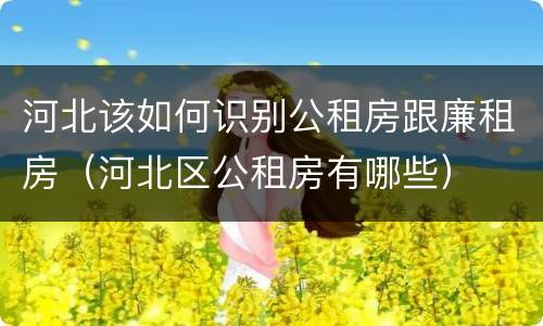河北该如何识别公租房跟廉租房（河北区公租房有哪些）