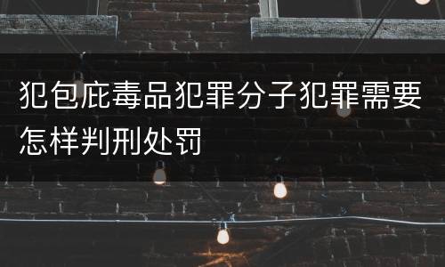 犯包庇毒品犯罪分子犯罪需要怎样判刑处罚