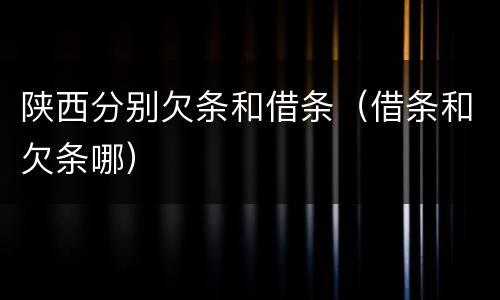 陕西分别欠条和借条（借条和欠条哪）