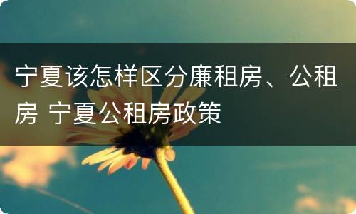 宁夏该怎样区分廉租房、公租房 宁夏公租房政策