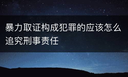 暴力取证构成犯罪的应该怎么追究刑事责任
