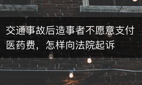 交通事故后造事者不愿意支付医药费，怎样向法院起诉