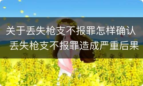 关于丢失枪支不报罪怎样确认 丢失枪支不报罪造成严重后果