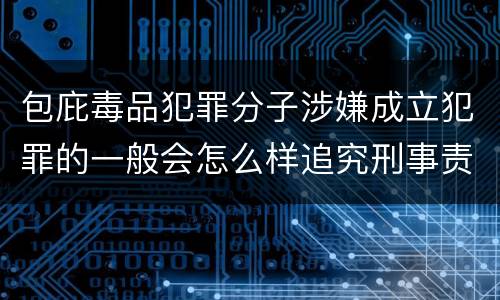 包庇毒品犯罪分子涉嫌成立犯罪的一般会怎么样追究刑事责任