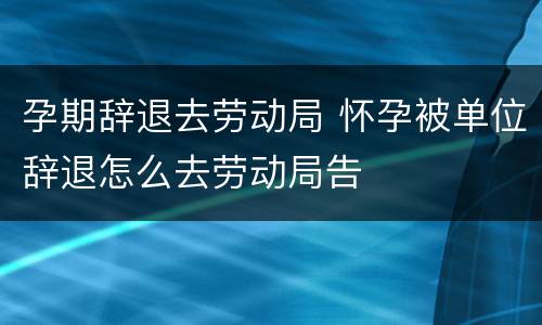 孕期辞退去劳动局 怀孕被单位辞退怎么去劳动局告