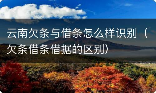 云南欠条与借条怎么样识别（欠条借条借据的区别）