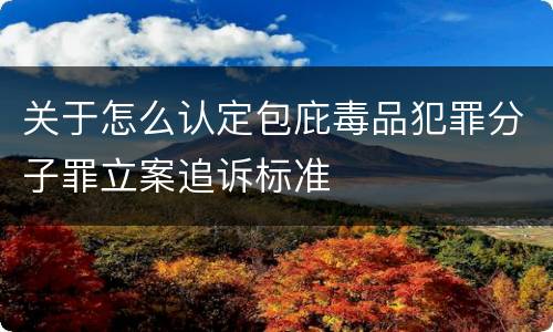 关于怎么认定包庇毒品犯罪分子罪立案追诉标准