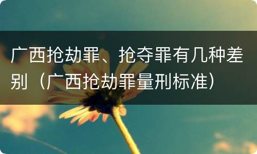 广西抢劫罪、抢夺罪有几种差别（广西抢劫罪量刑标准）