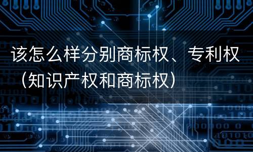 该怎么样分别商标权、专利权（知识产权和商标权）