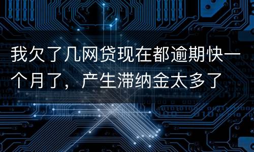 我欠了几网贷现在都逾期快一个月了，产生滞纳金太多了