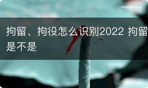 拘留、拘役怎么识别2022 拘留是不是