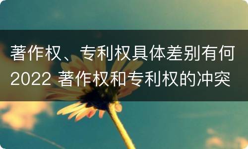 著作权、专利权具体差别有何2022 著作权和专利权的冲突