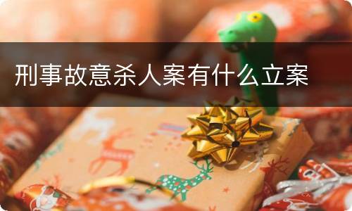 刑事故意杀人案有什么立案