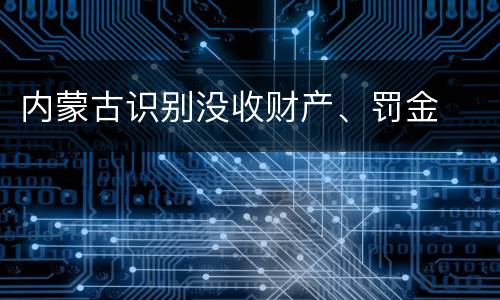 内蒙古识别没收财产、罚金
