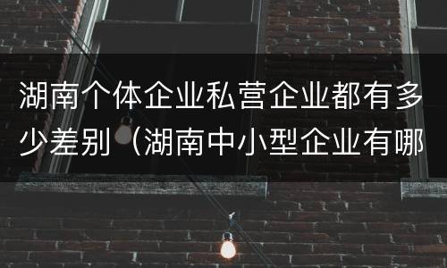 湖南个体企业私营企业都有多少差别（湖南中小型企业有哪些）