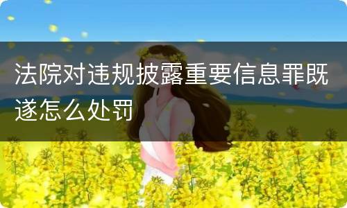 法院对违规披露重要信息罪既遂怎么处罚