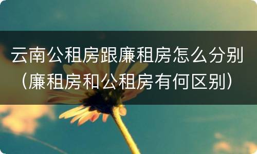 云南公租房跟廉租房怎么分别（廉租房和公租房有何区别）