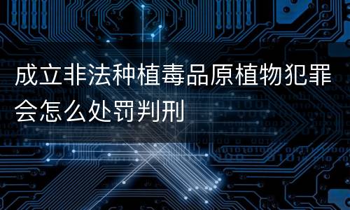 成立非法种植毒品原植物犯罪会怎么处罚判刑