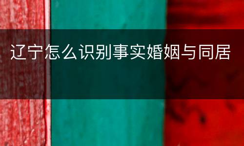 辽宁怎么识别事实婚姻与同居