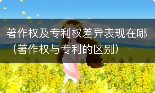 著作权及专利权差异表现在哪（著作权与专利的区别）