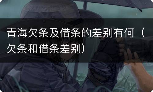 青海欠条及借条的差别有何（欠条和借条差别）