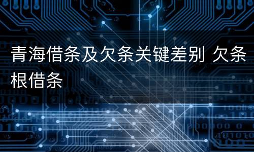 青海借条及欠条关键差别 欠条根借条