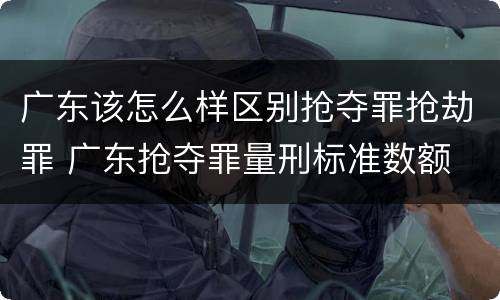 广东该怎么样区别抢夺罪抢劫罪 广东抢夺罪量刑标准数额