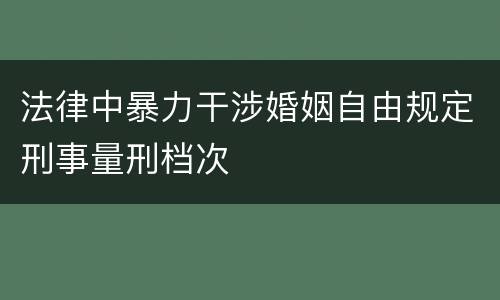 法律中暴力干涉婚姻自由规定刑事量刑档次