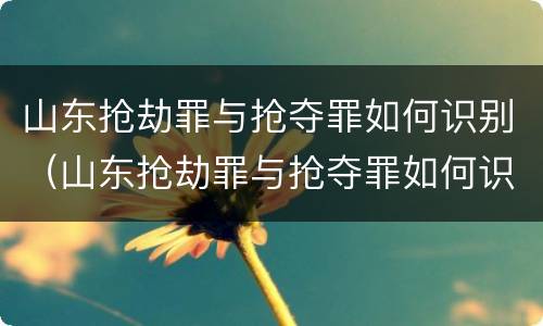 山东抢劫罪与抢夺罪如何识别（山东抢劫罪与抢夺罪如何识别认定）